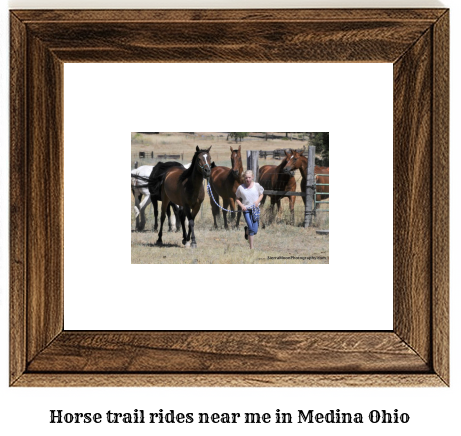 horse trail rides near me in Medina, Ohio